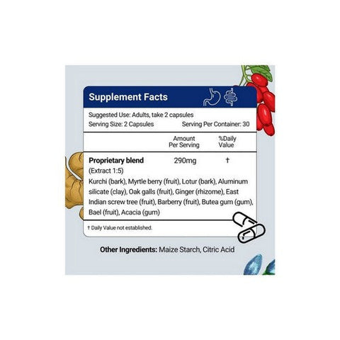 Herbion Naturals, G.I. Support, 60 VgeCaps Herbion Naturals