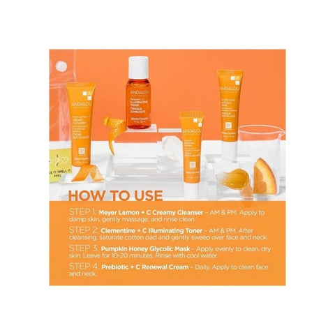 Andalou Naturals, On The Go Essentials The Brightening Routine, 4 Count Andalou Naturals