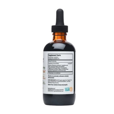 Equinox Botanicals, Organic Elderberry Syrup With Propolis, 4 Oz Equinox Botanicals