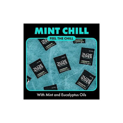 Dude Wipes, Mint Chill On The Go Flushable Personal Wipes, 30 Count Dude Wipes